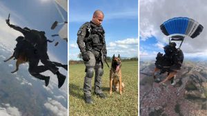 Cão paraquedista salta em São Paulo (Foto: Reprodução / Agência SP)