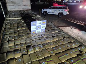 Polícia prende skunk no interior de SP (Foto: Reprodução / PM)