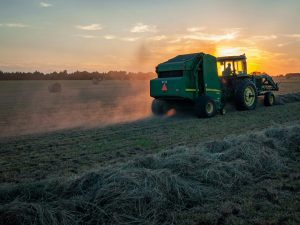 Agro Agricultura Jed Owen Unsplash