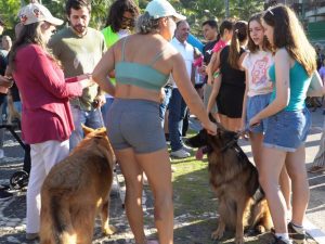 cãominhada solidária guarujá