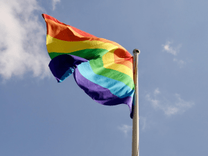 dia internacional contra homofobia