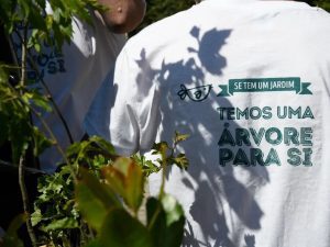 Em Terras Lusas Paulo Visani