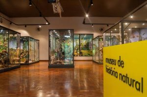 museu