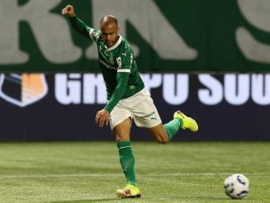 palmeiras foto: Cesar Greco