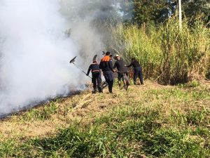 Homem é detido após admitir ter ateado fogo em área de mata de Bragança Paulista (Foto: Reprodução / SECOM)