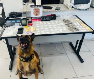 Cão farejador Iron da GCM de Bragança (Foto: Divulgação / SECOM)