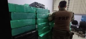 PRF apreende mais de 5 toneladas de maconha em carga de peixe (Foto: Reprodução / PRF)