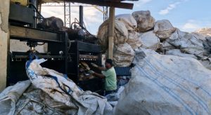 Semana do Meio Ambiente em Socorro (Foto: Reprodução / Prefeitura)