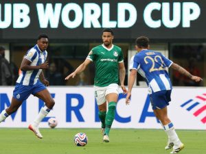 palmeiras-flickr-Cesar-Greco-Palmeiras