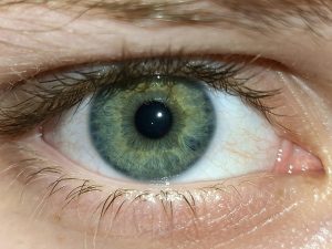 exame vista olhos catarata Gopinath Mohanta unsplash