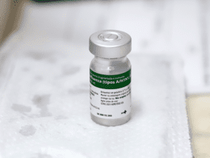 mortes influenza