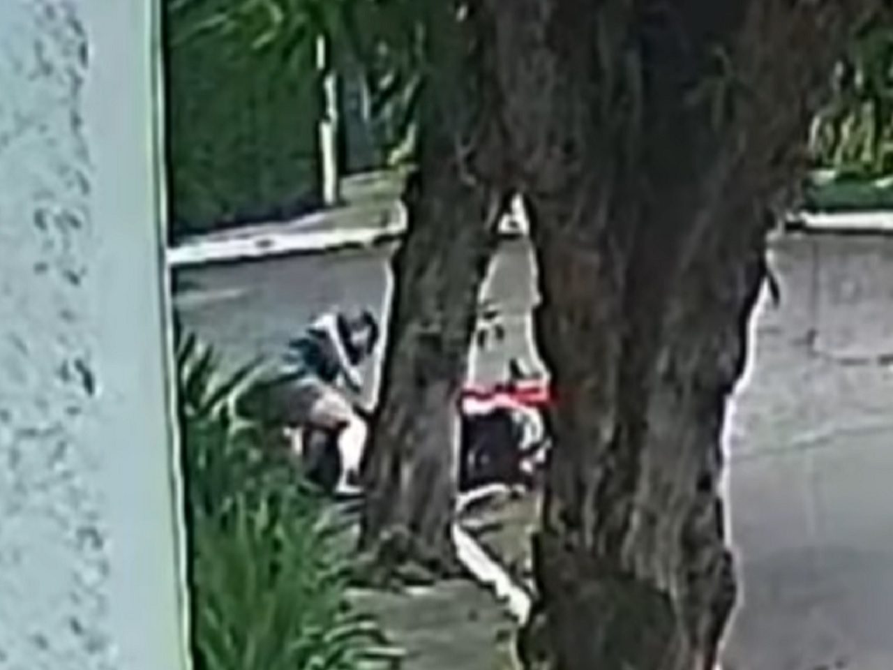 Assaltante leva cacete ao tentar assaltar casal em SP