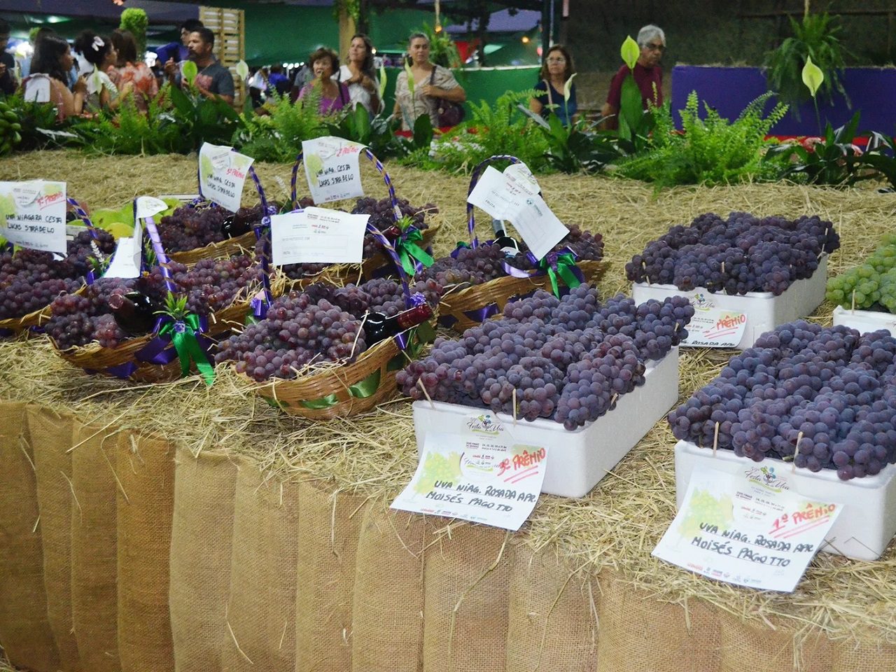 Festa da Uva e do Vinho de Vinhedo