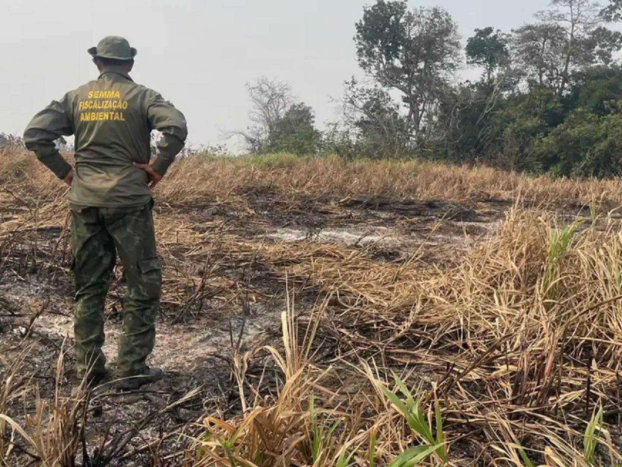 Brasil reduz área queimada Agência Santarém