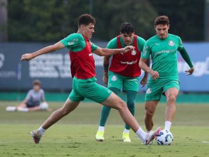 Palmeiras treino bahia jogo Cesar Greco Palmeiras
