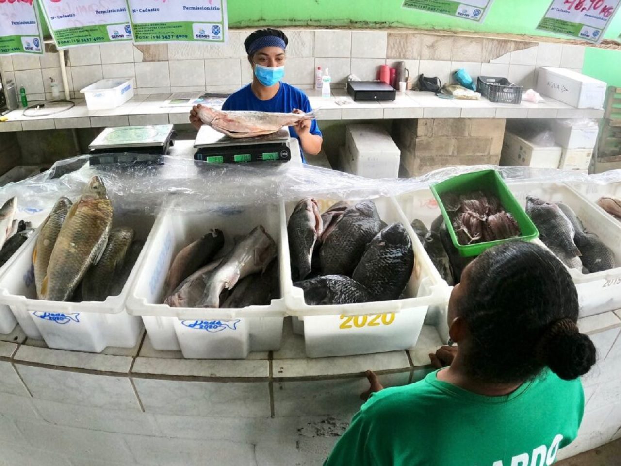 Varejão de pescados de Piracicaba