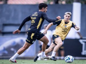 santos fc treino flickr raul baretta santos fc