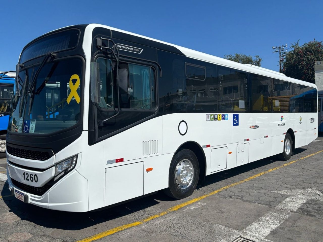 três dos 50 novos ônibus são entregues