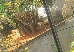 veja local onde jovem