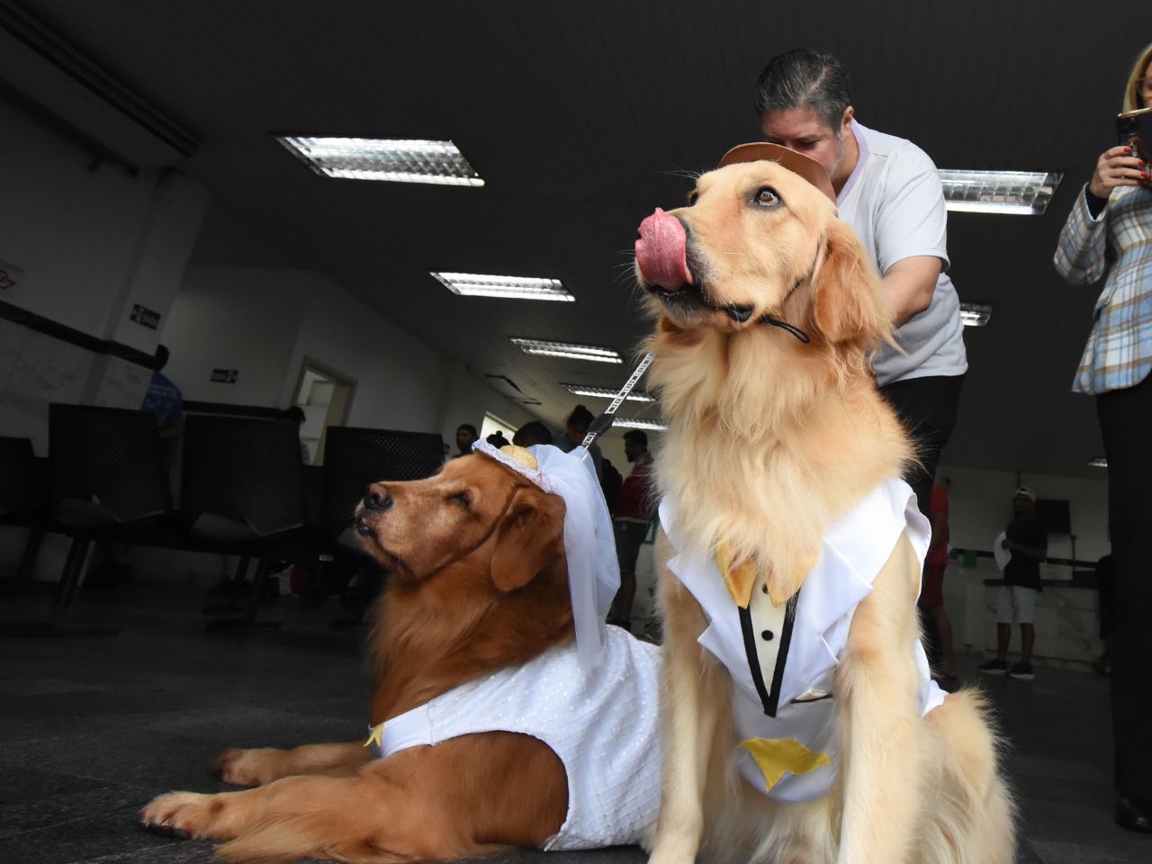 cães terapeutas. Foto: Jairo Marques/Prefeitura de Praia Grande
