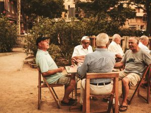 conferência pessoa idosa são vicente