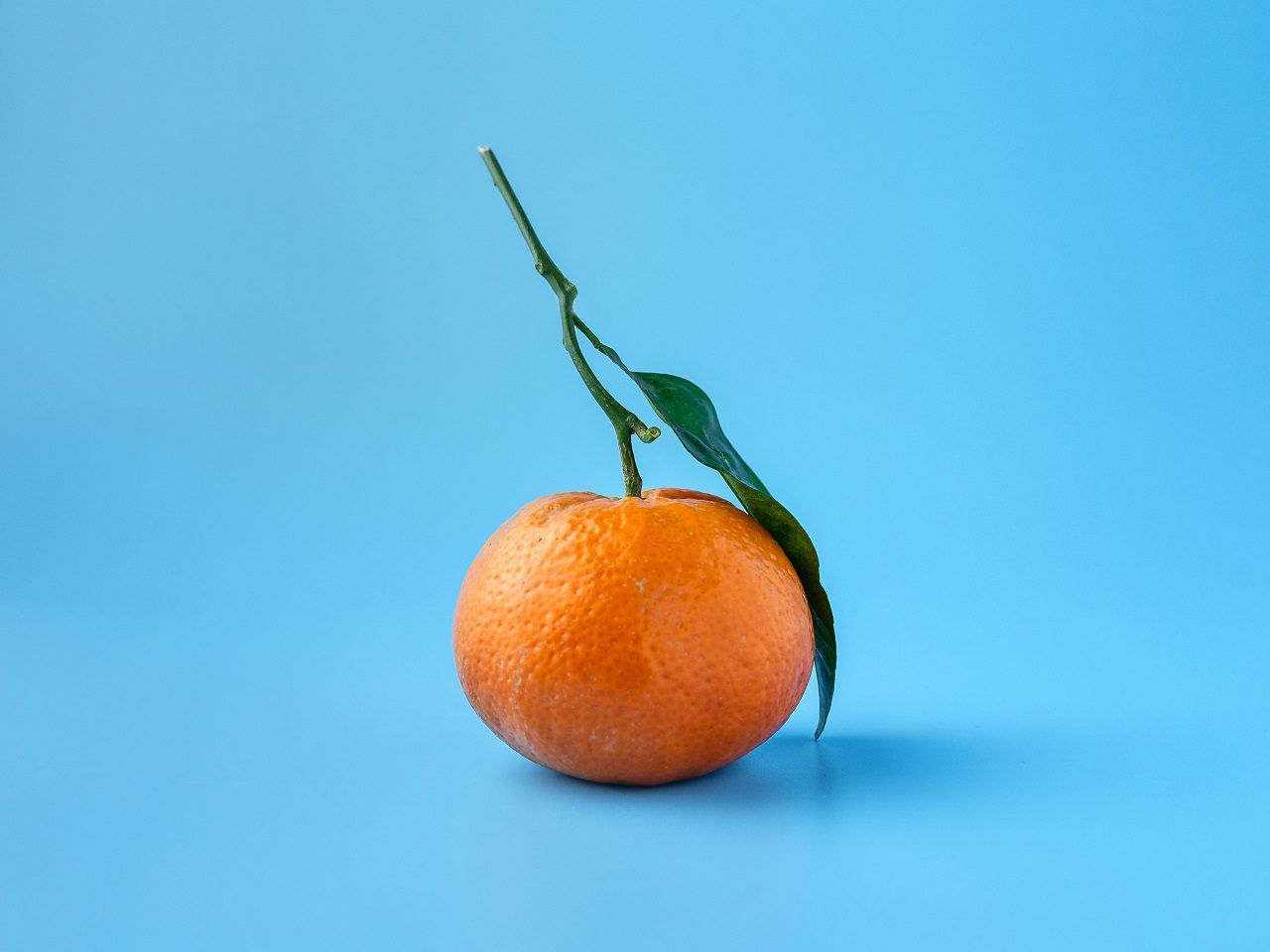 Laranja Laranjal Mae Mu Unsplash