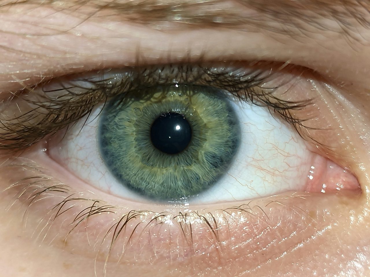 exame vista olhos catarata Gopinath Mohanta unsplash