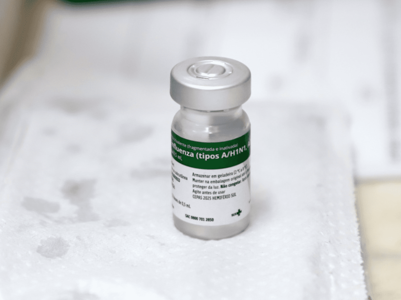 mortes influenza