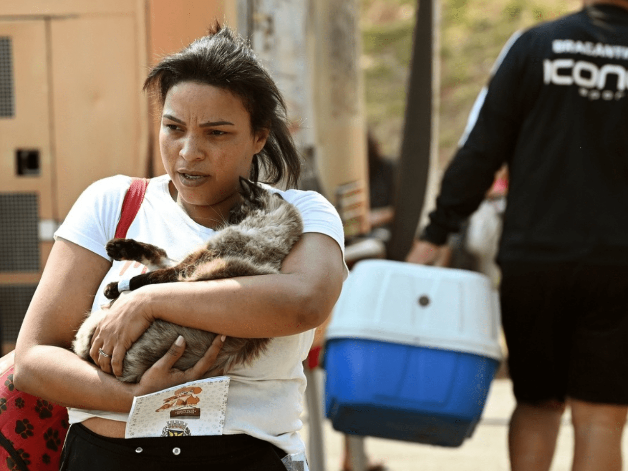 Consultório veterinário móvel gratuito
