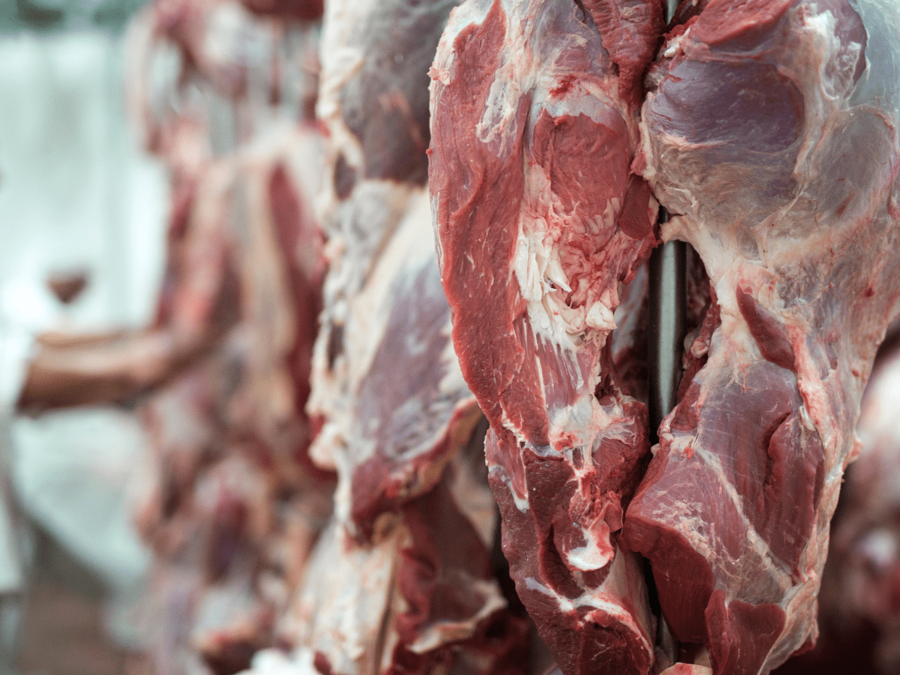 carne EUA