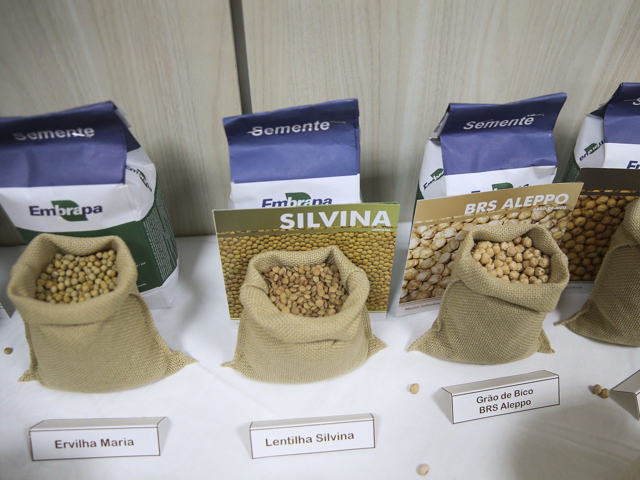 grão grãos agro José Cruz Agência Brasil