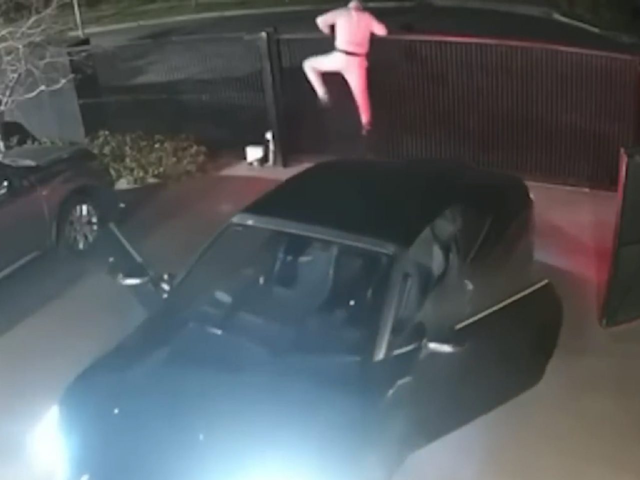 ladrão austrália fuga late dono casa