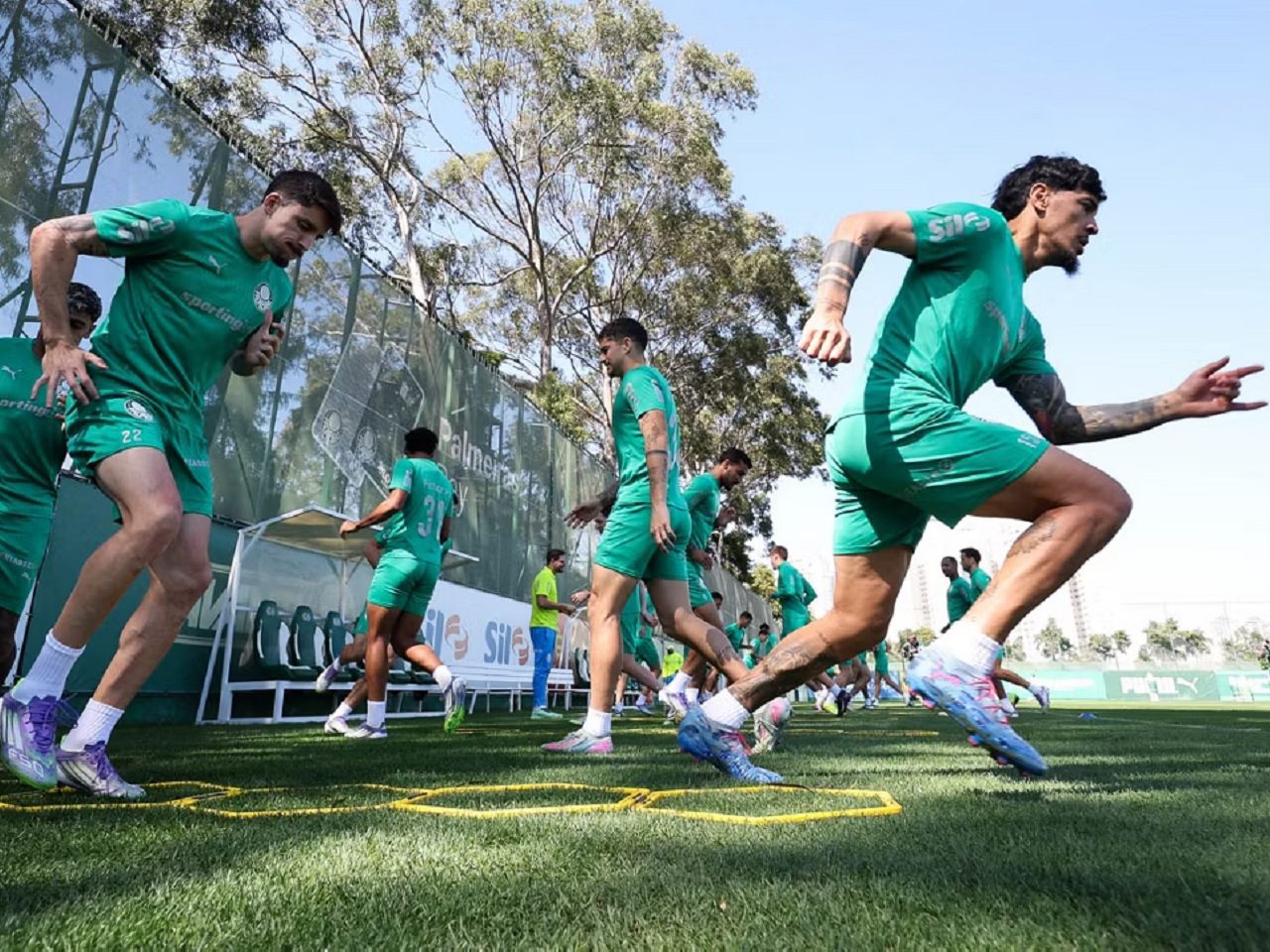 palmeiras treino clássico corinthians cesar greco palmeiras site oficial