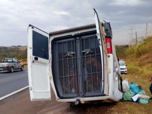 veículo detentos capota