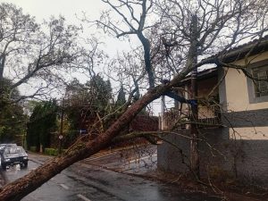 Ventos de quase 90 km/h causam 80 ocorrências em Bragança Paulista (Foto: divulgação)