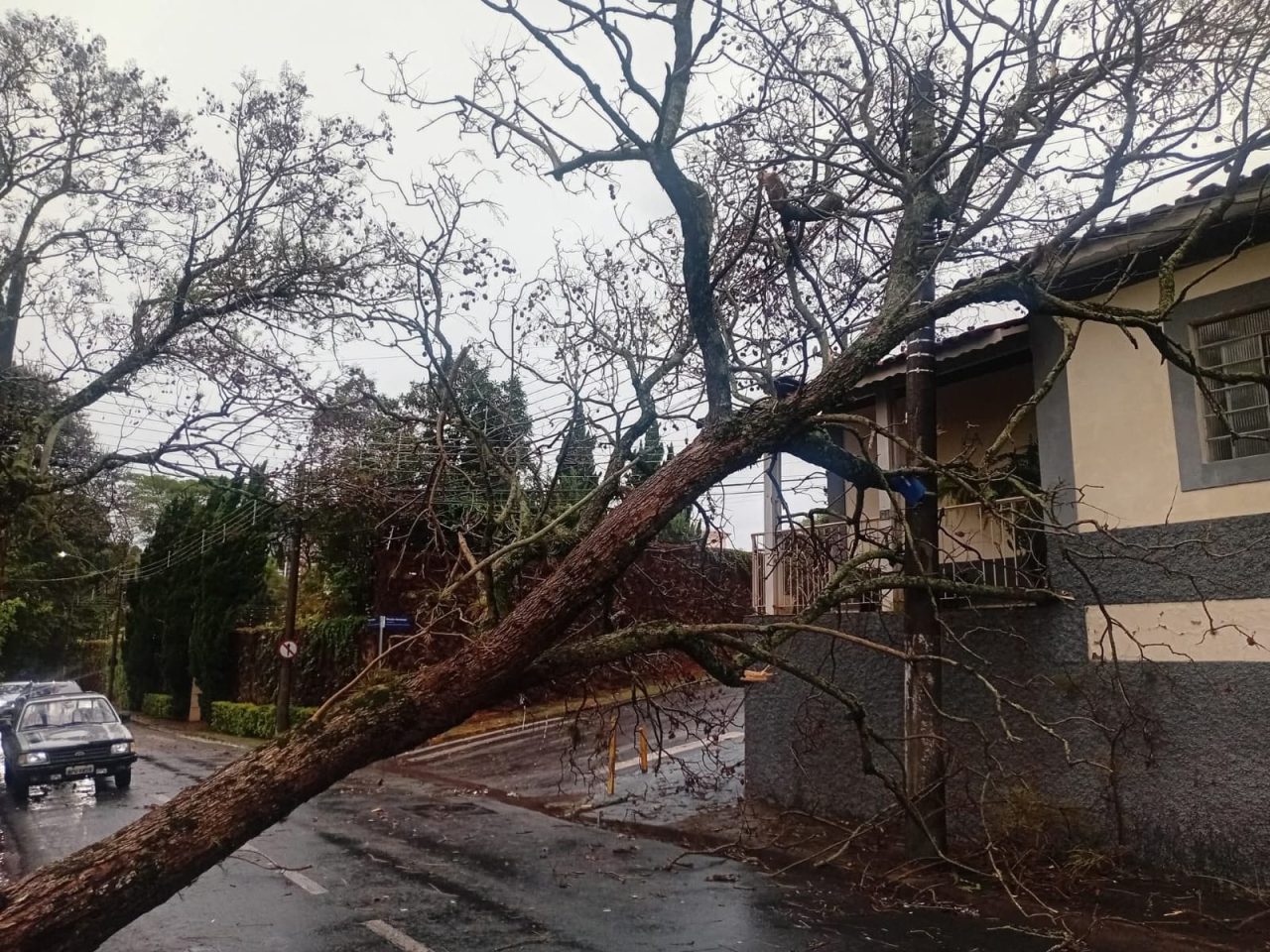 Ventos de quase 90 km/h causam 80 ocorrências em Bragança Paulista (Foto: divulgação)