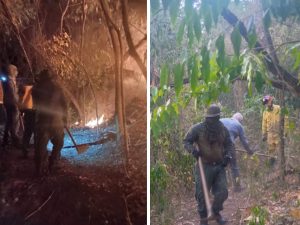 Incêndio atinge vegetação nativa na Serra dos Cocais em Valinhos (SP) - divulgação