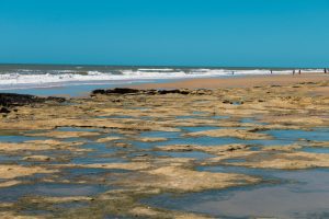 Planeta cruzou 7 dos 9 limites planetários; entenda o que houve com a saúde dos mares (Foto: Iago Seo)