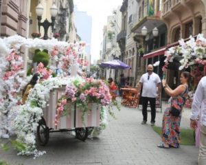 primavera criativa santos