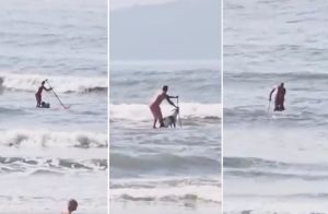 Surfista agredindo cachorro em São Vicente
