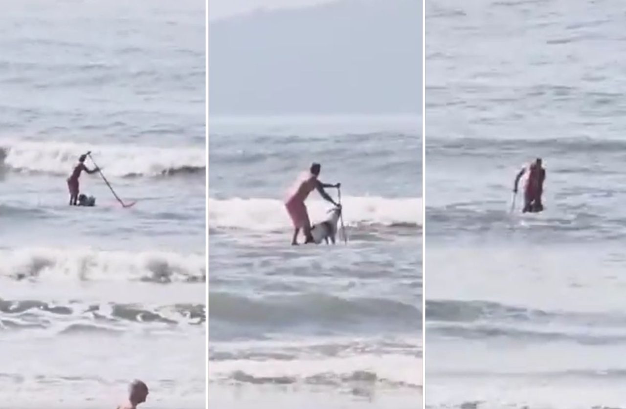 Surfista agredindo cachorro em São Vicente