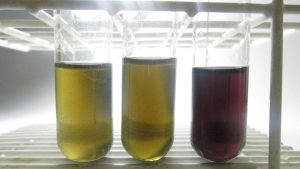 Teste rápido da Unesp detecta metanol em bebidas