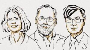 Cientistas ganham Nobel de Medicina por descobertas sobre controle do sistema imunológico (Foto: divulgação)