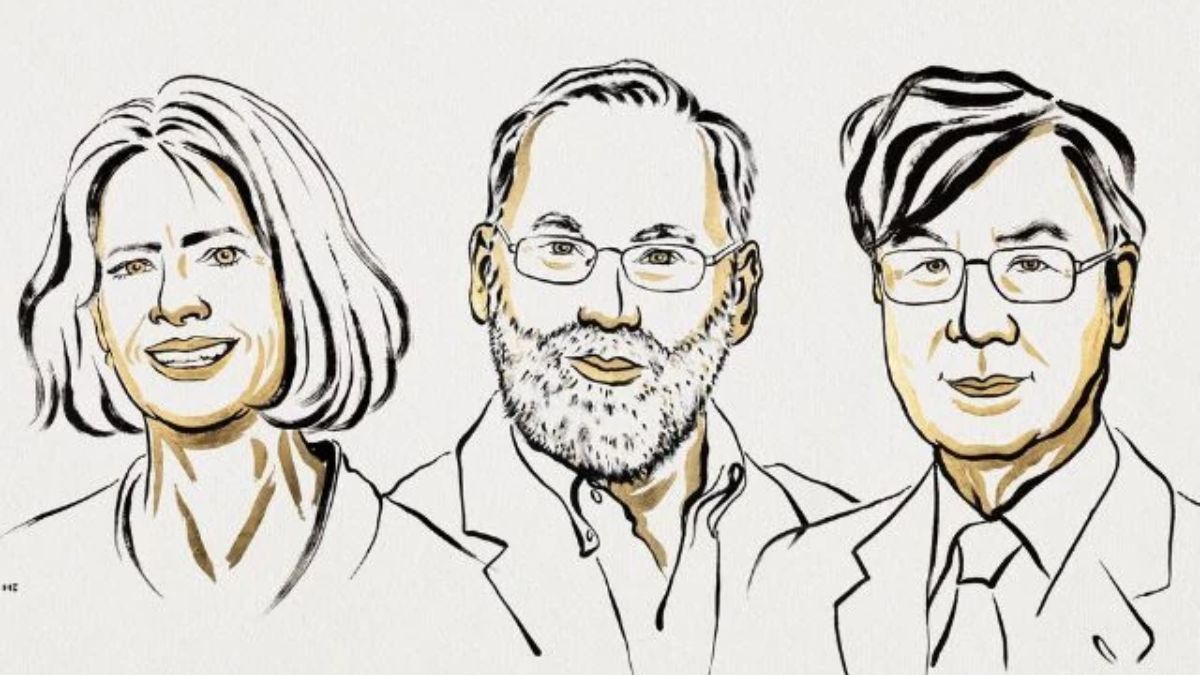 Cientistas ganham Nobel de Medicina por descobertas sobre controle do sistema imunológico (Foto: divulgação)