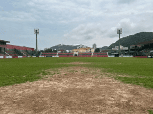 Portuguesa Santista vai renovar gramado do Ulrico Mursa para 2026