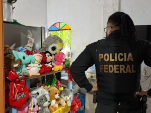 Megaoperação da PF prende 19 suspeitos e resgata criança vítima de abuso sexual infantil (Foto: Divulgação / Polícia Federal)