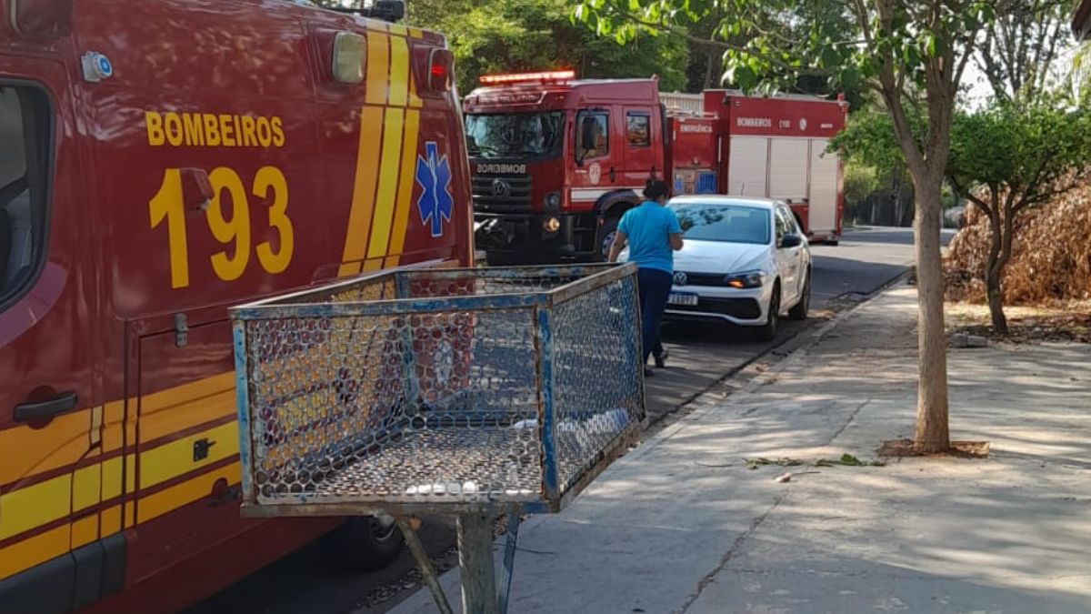 Trabalhador é atacado por enxame de abelhas em Indaiatuba; segundo caso registrado em menos de 24h