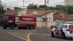 Ataque de abelhas mata dois cães e deixa ao menos sete feridos em Santa Bárbara d'Oeste