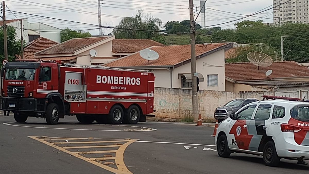 Ataque de abelhas mata dois cães e deixa ao menos sete feridos em Santa Bárbara d'Oeste