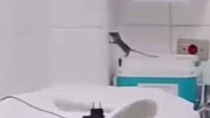 rato no hospital irmã dulce